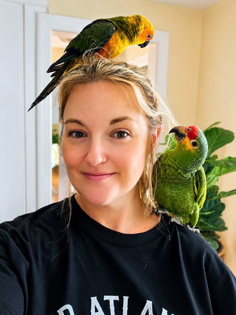 At home with the birds: a green parrot on a shoulder and a small orange and green parrot perched on top